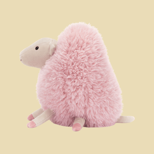 aimee-sheep