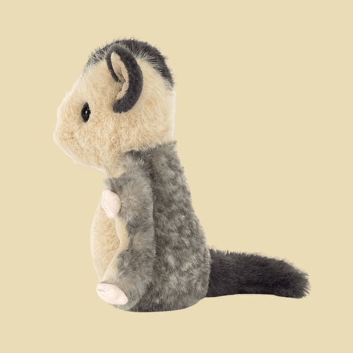 lolly-sugar-glider