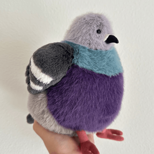 leicester-pigeon