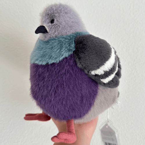 leicester-pigeon