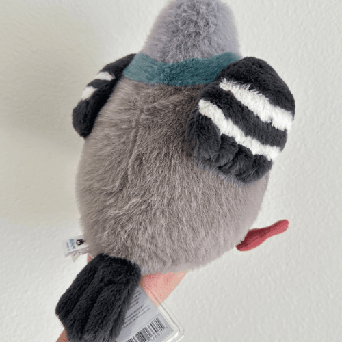 leicester-pigeon