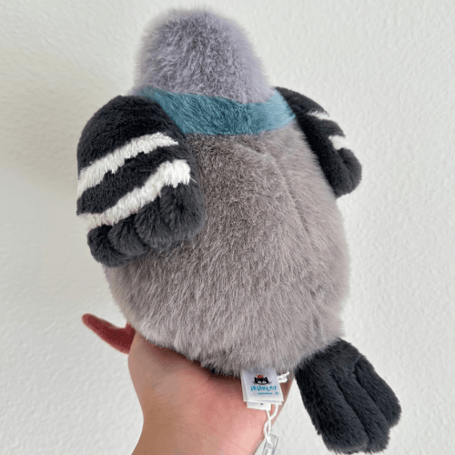 leicester-pigeon