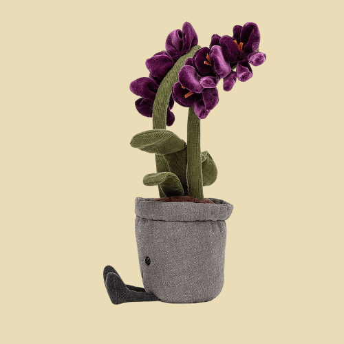 amuseables-purple-orchid