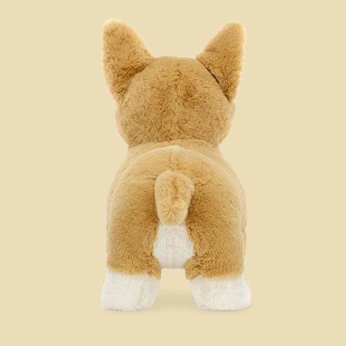 betty-corgi