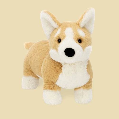 betty-corgi