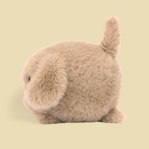 caboodle-puppy