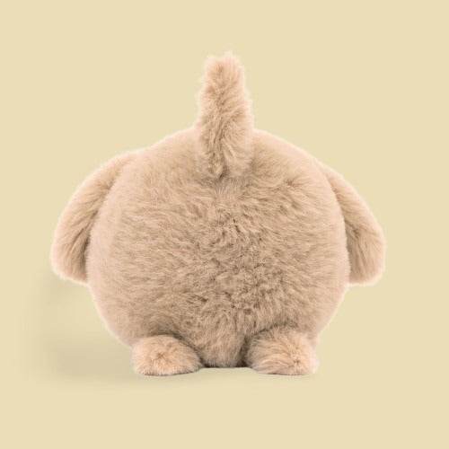 caboodle-puppy