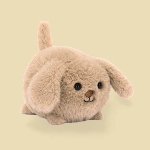 caboodle-puppy