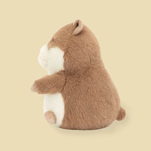 gordy-guinea-pig