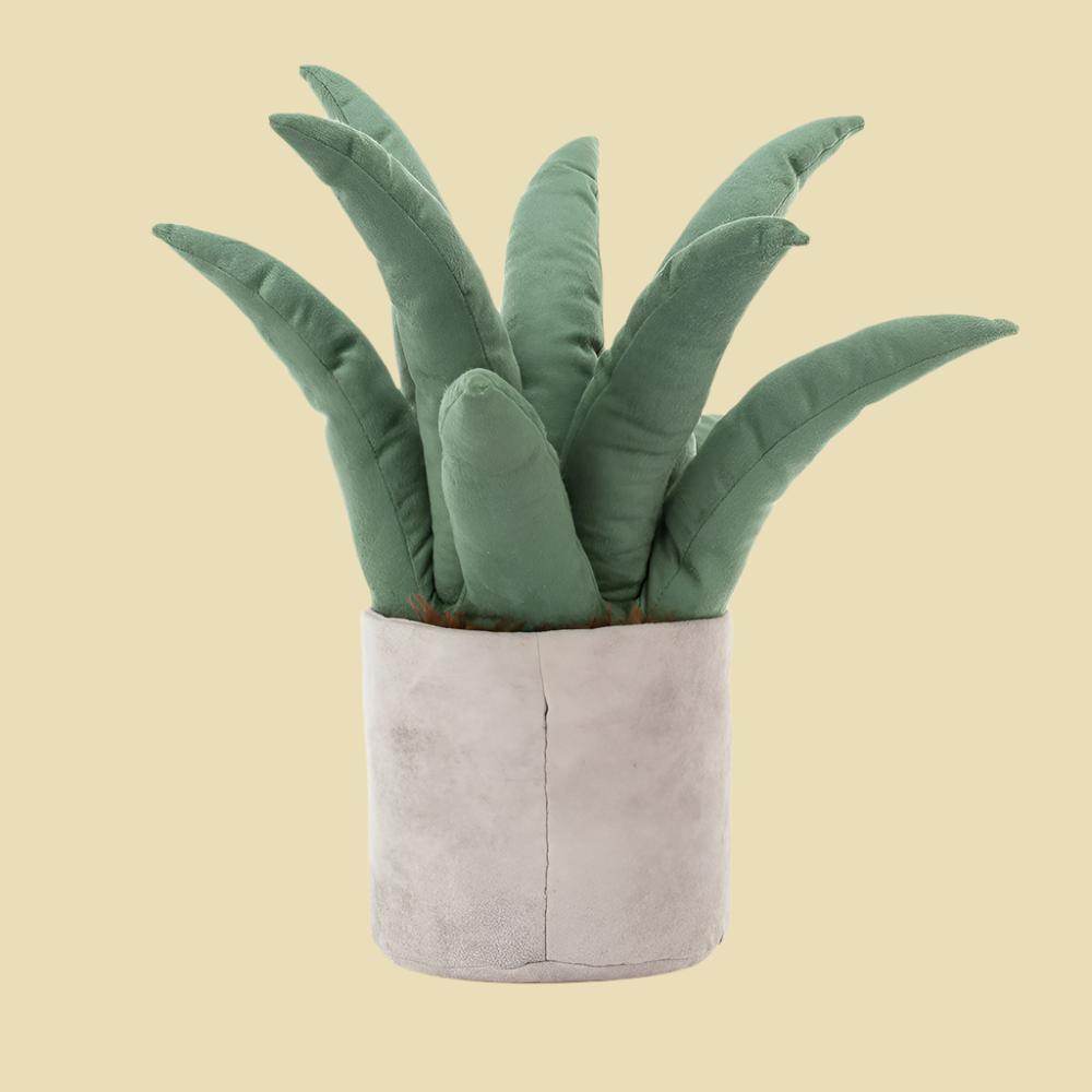 amuseables-aloe-vera