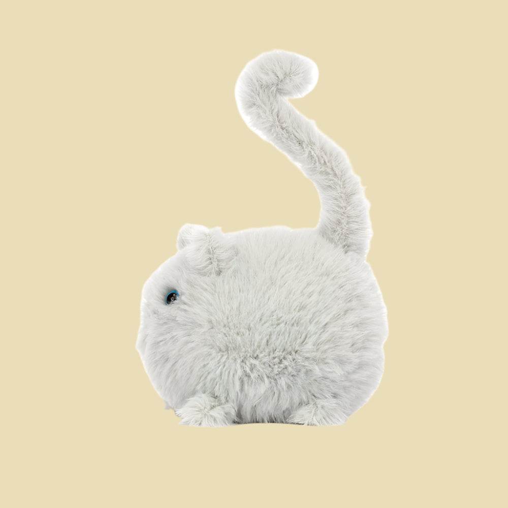 kitten-caboodle