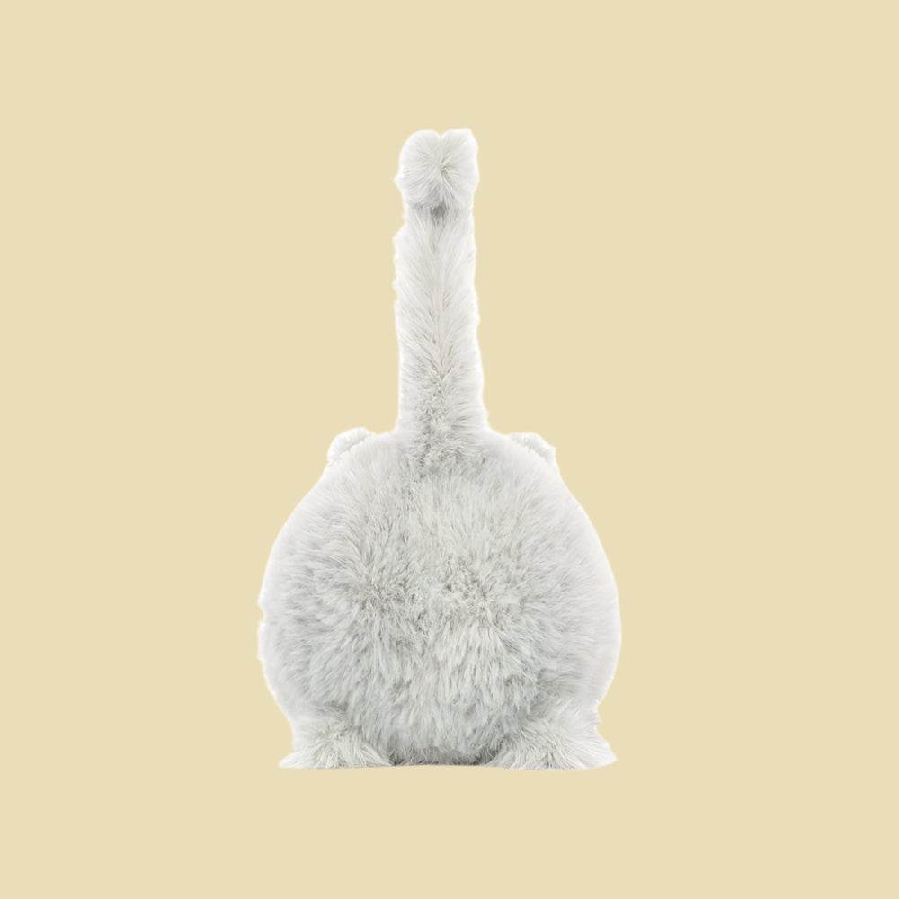kitten-caboodle