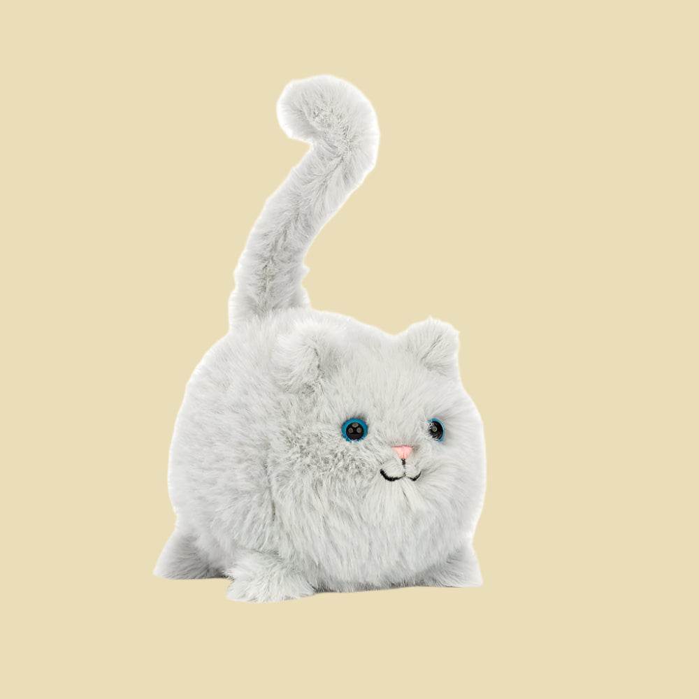 kitten-caboodle