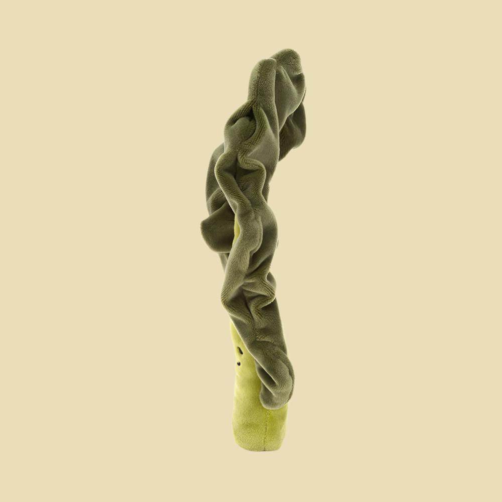 vivacious-vegetable-kale-leaf