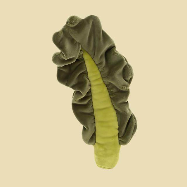 vivacious-vegetable-kale-leaf