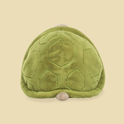 timmy-turtle