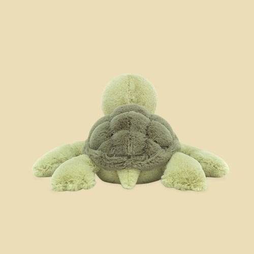 tully-turtle