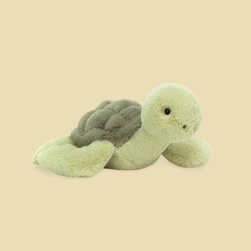 tully-turtle