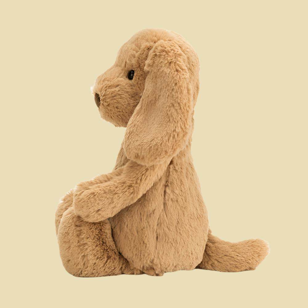 bashful-toffee-puppy