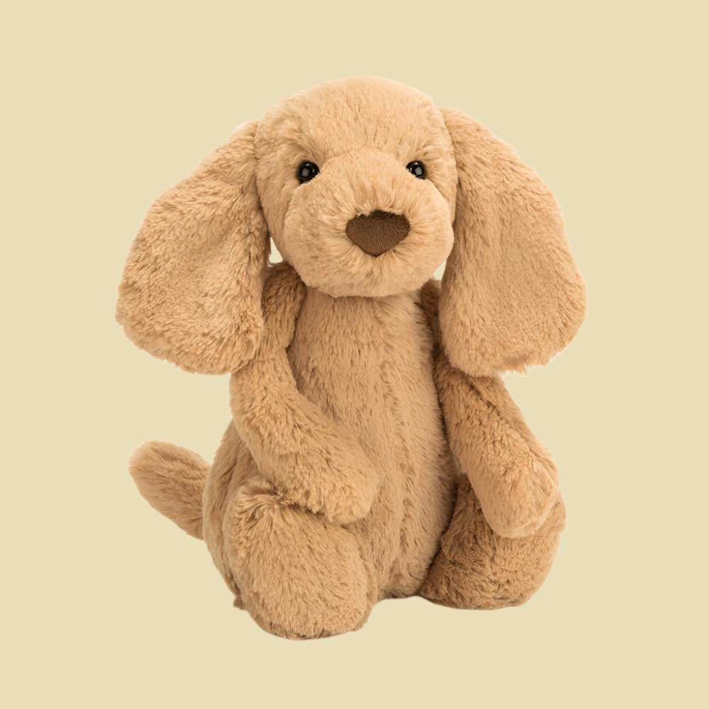 bashful-toffee-puppy